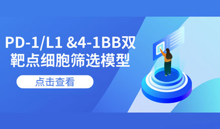 PD-1/L1 &4-1BB雙靶點細胞篩選模型 PD-1/L1 &4-1BB雙靶點細胞篩選模型